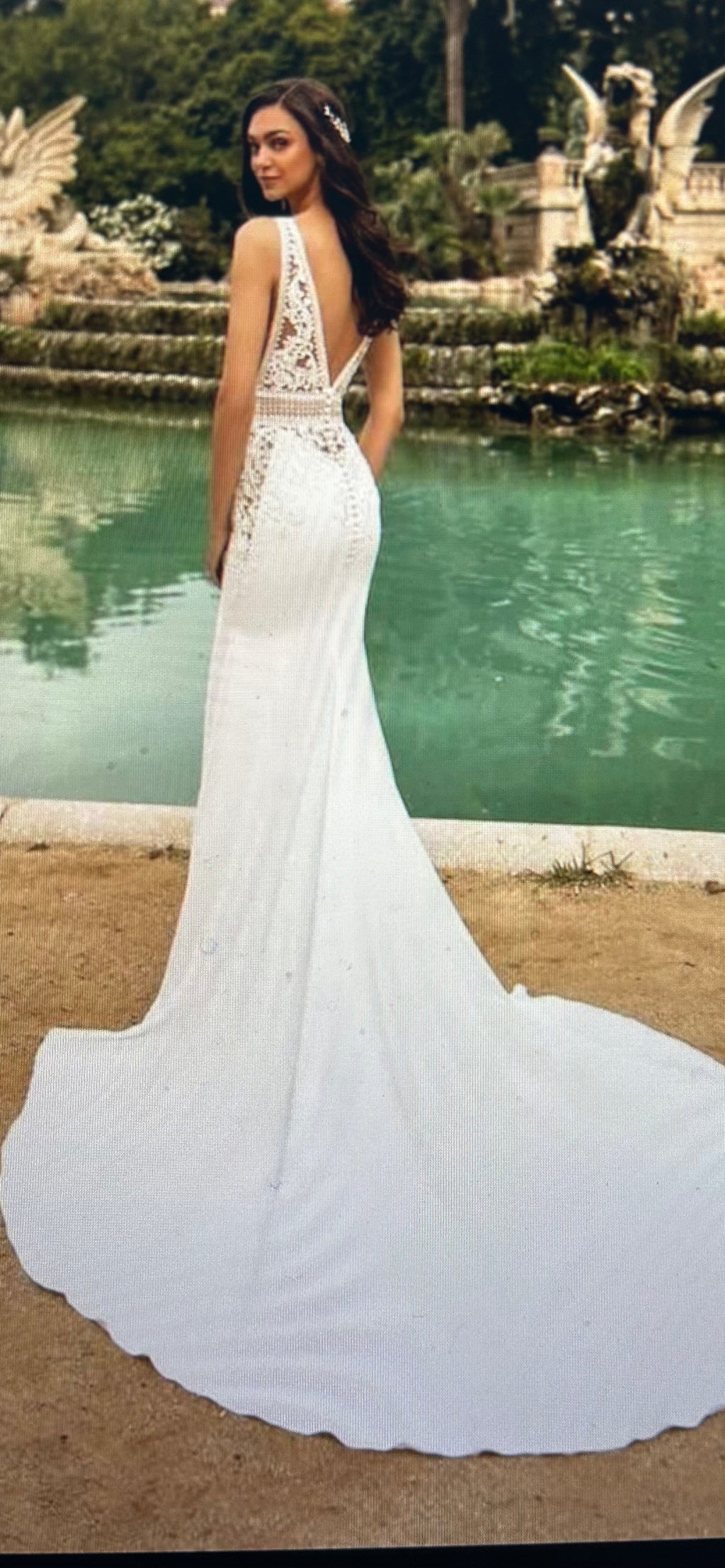 Pronovias Emily size 10
